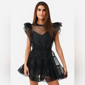 SIMKHAI Monique Organza Ruffle Mini Dress with Slip in Black, Size 2